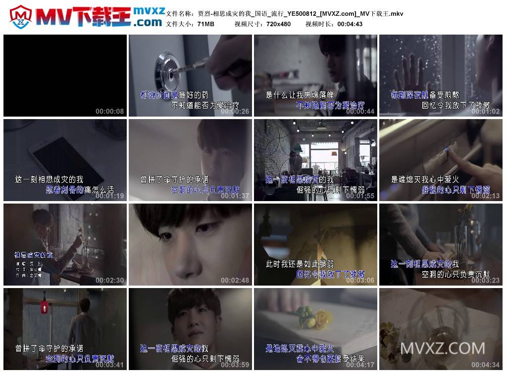 贾烈-相思成灾的我_国语_流行_YE500812